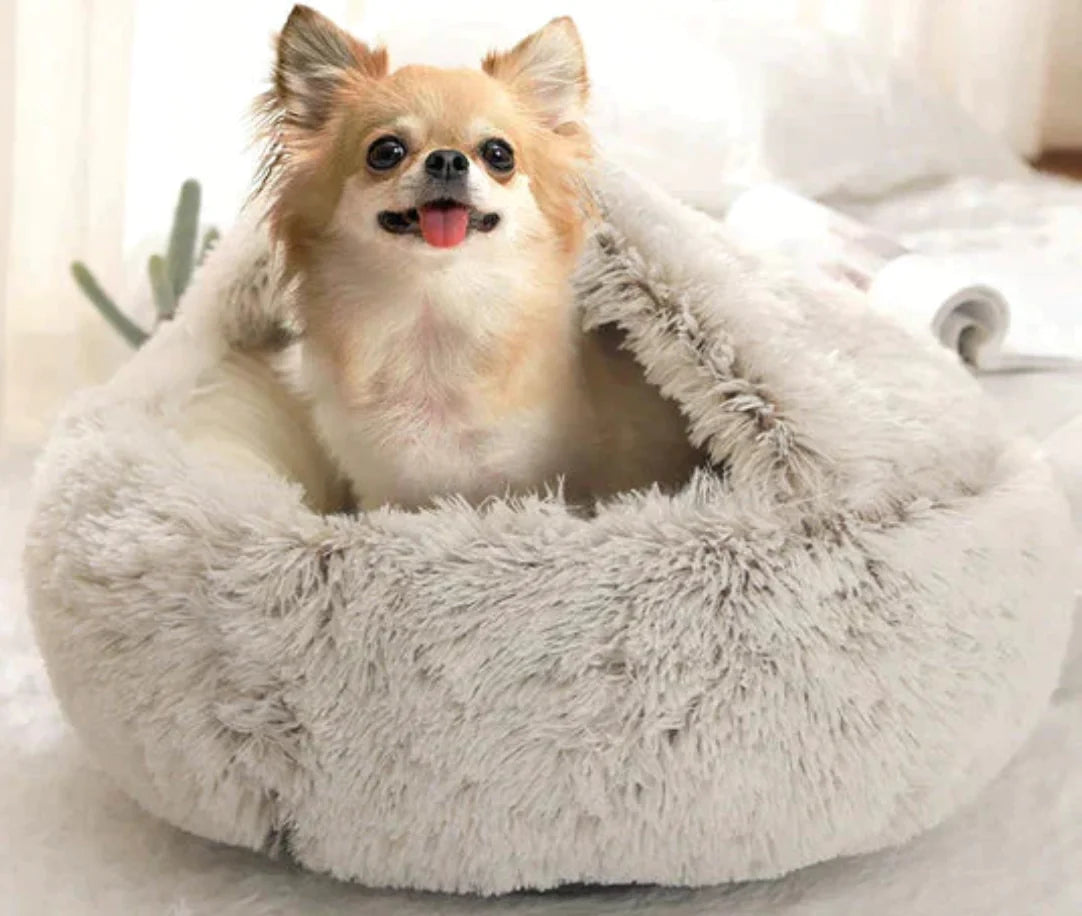 small dog in a grey bed