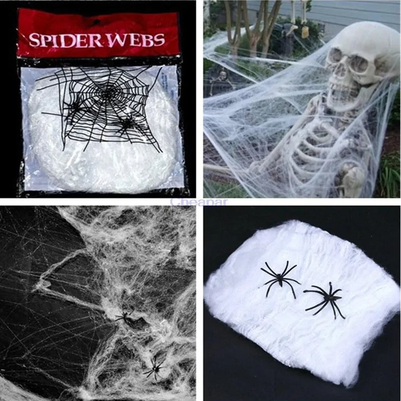 four views of the spider web