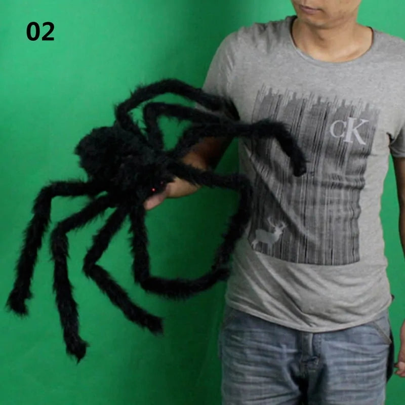 holding the 50cm spider